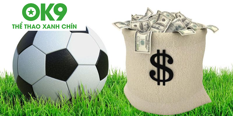 processed dong banh la gi 2