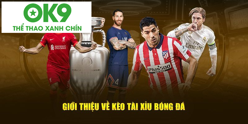 Đôi nét cơ bản giới thiệu về kèo tài xỉu bóng đá