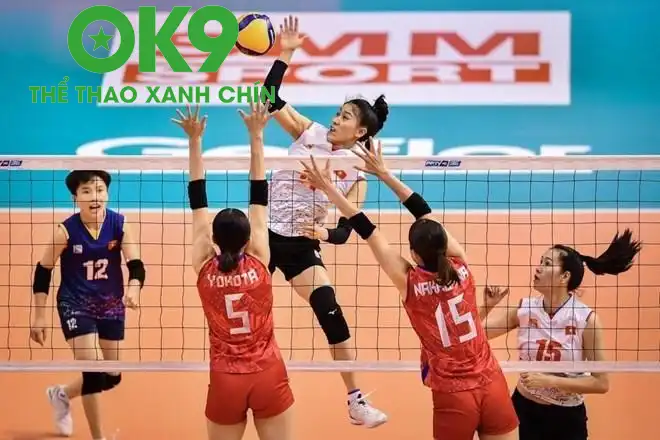 Bóng chuyền nữ Việt Nam thắng áp đảo U21 Bauru (Ảnh: VFV) Bóng chuyền nữ Việt Nam thắng áp đảo U21 Bauru (Ảnh: VFV)