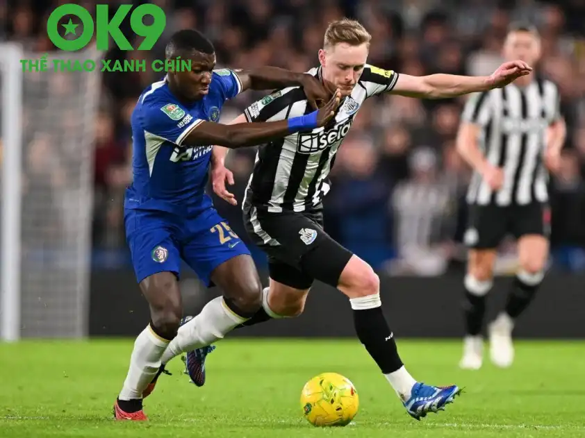 248 27 1 6943374c1365f